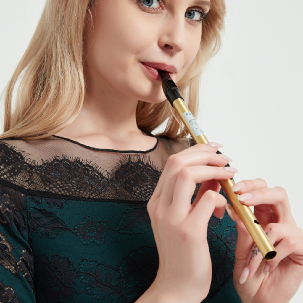 Penny Whistle D - NAOMI Tin Whistle D Key Brass
