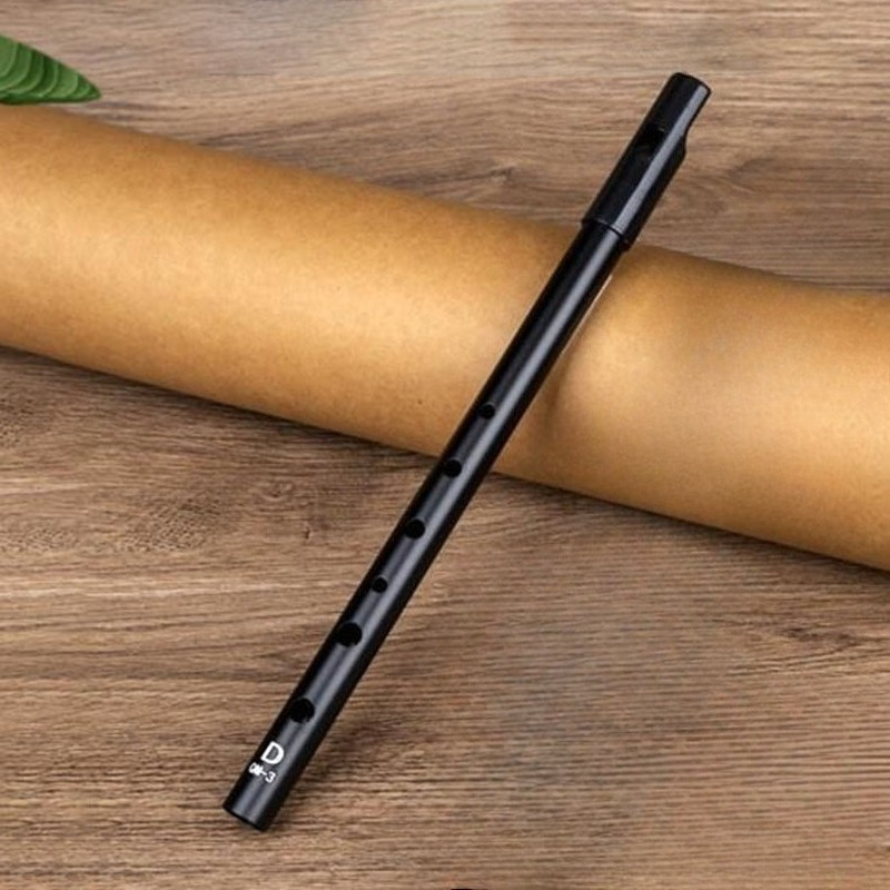 D Key Tin Whistle Beginner Chi - Penny Whistle D review and price