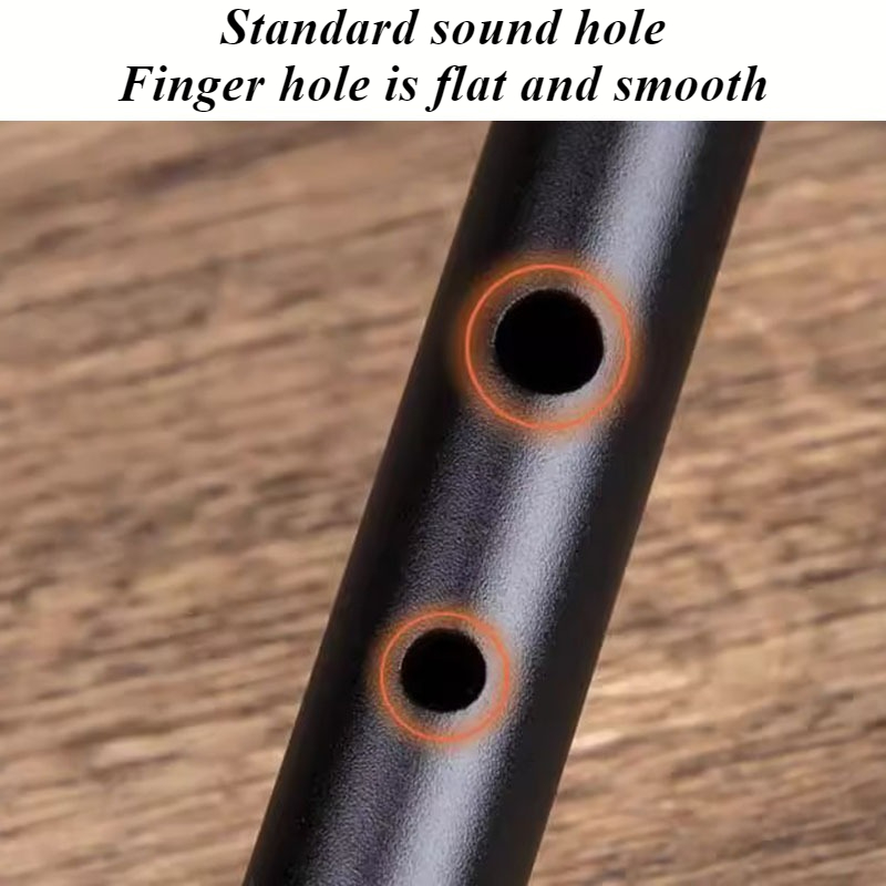 D Key Tin Whistle Beginner Chi - Penny Whistle D review and price