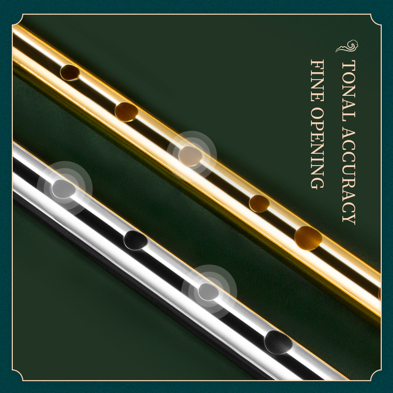 Irish Whistle Flute for Musica - Penny Whistle D review and price