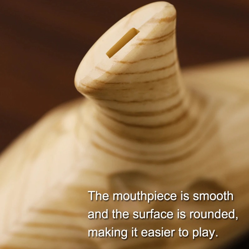 12 Hole Ocarina for Beginners  - Musical Instrument Easy To Learn review and price