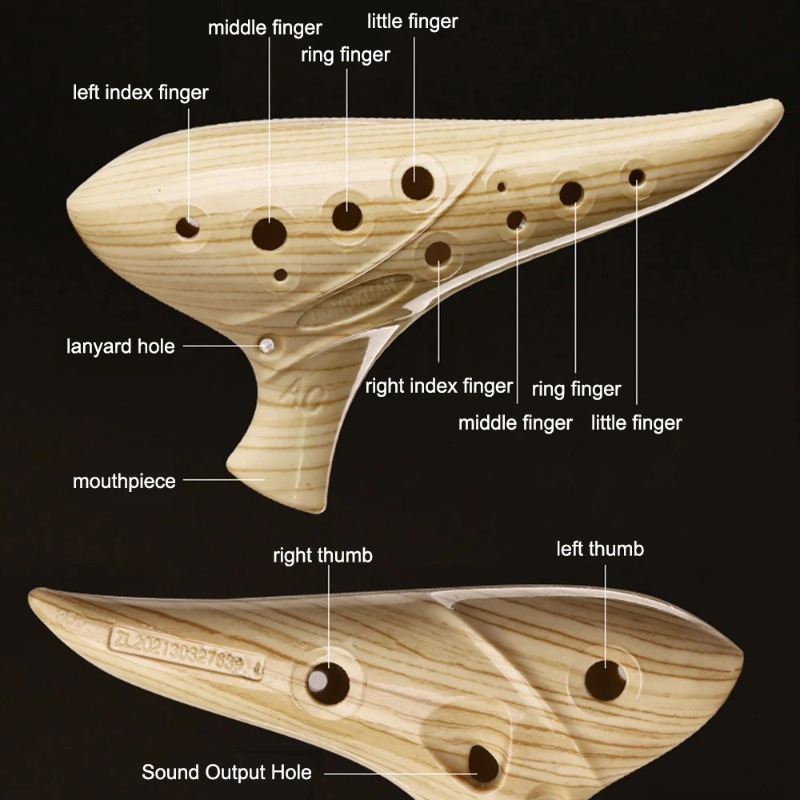 12 Hole Ocarina for Beginners  - Musical Instrument Easy To Learn review and price