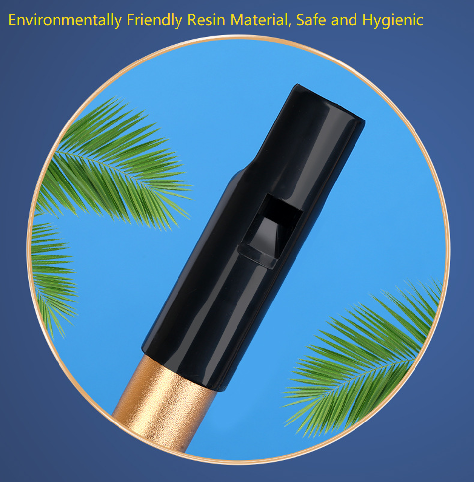 Authentic Irish Whistle Flute  - Penny Whistle D review and price