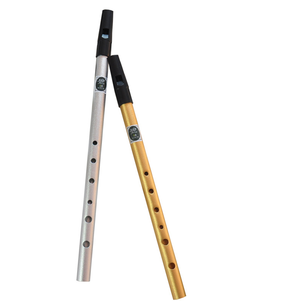 Irish Whistle Flute C/D Key Ir - Penny Whistle D review and price
