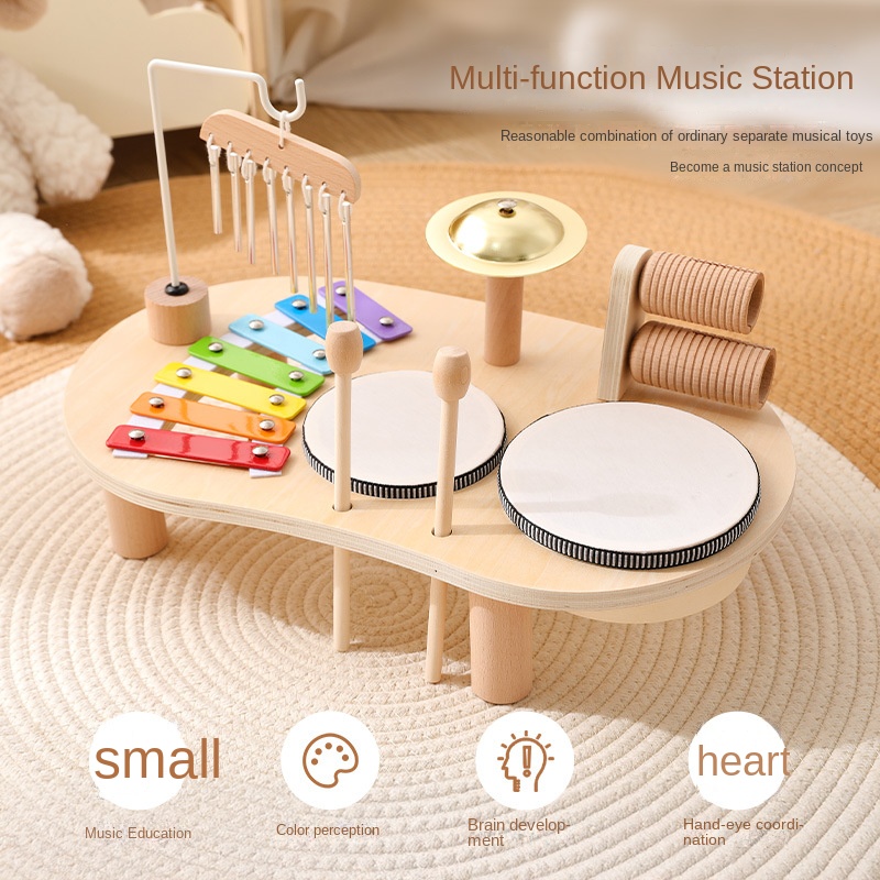 LazyChild Kids Educational Toy - Musical Instrument Game review and price