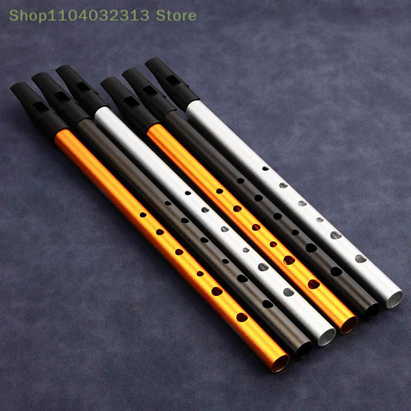 1PC C/D Key Tin Penny Whistle  - Penny Whistle D review and price