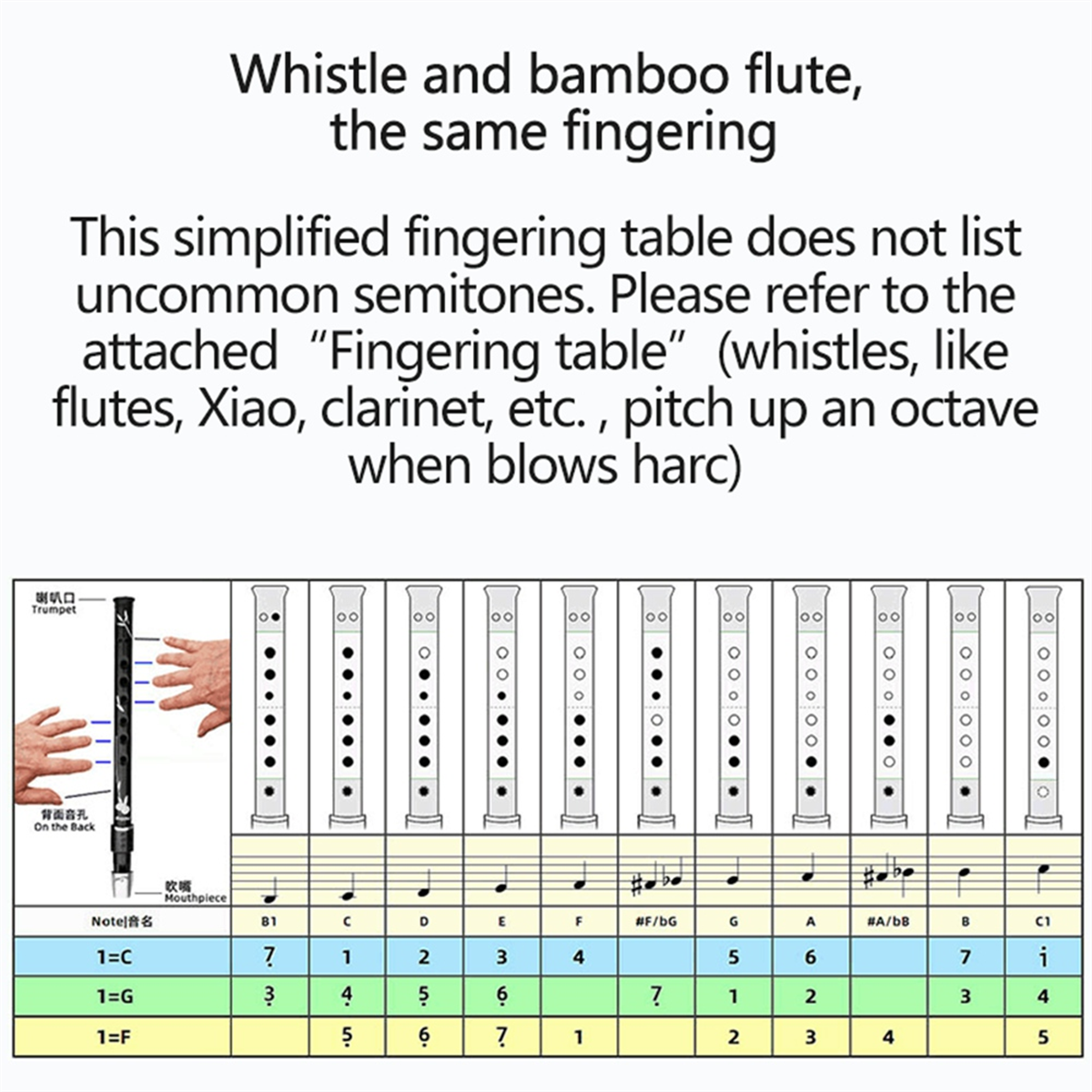 ABXHH 6 Holes Irish Tin Penny  - Penny Whistle D review and price