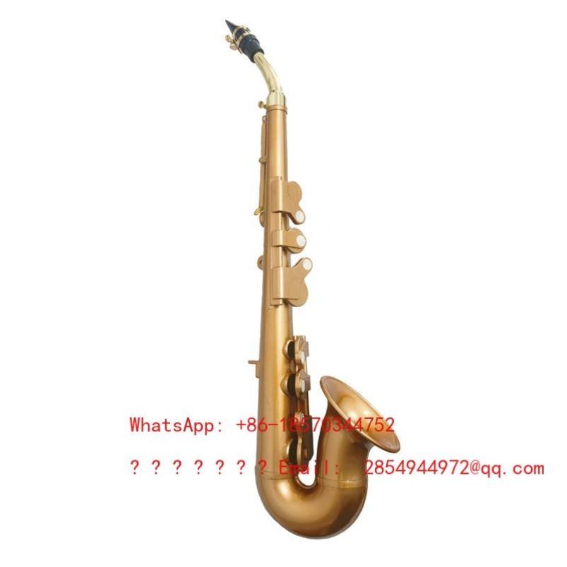 Resin Saxophone Musical Instru - Musical Instrument Easy To Learn review and price