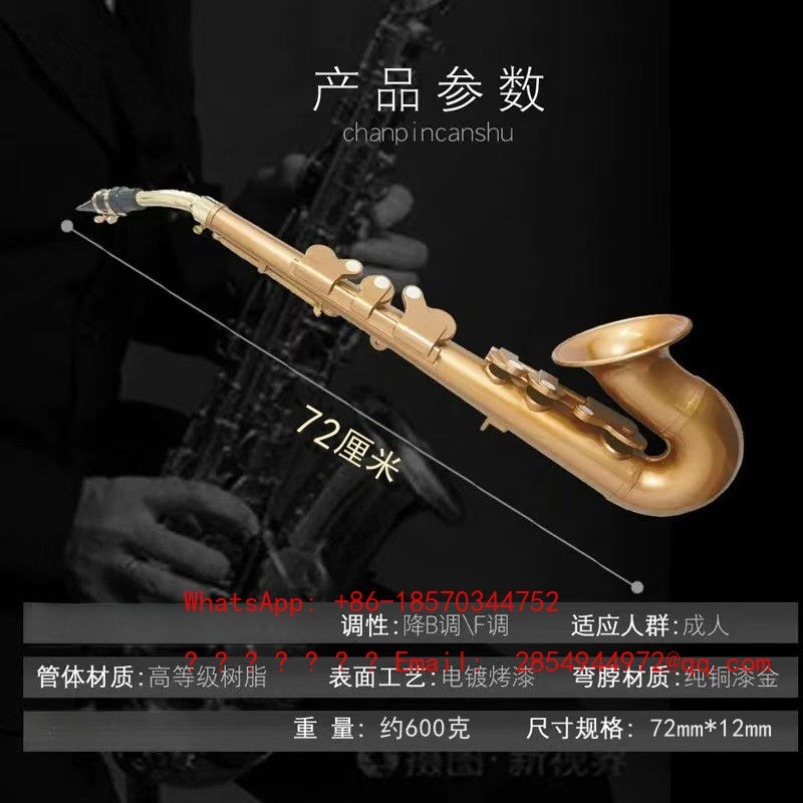 Resin Saxophone Musical Instru - Musical Instrument Easy To Learn review and price