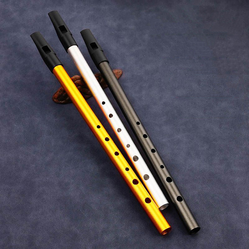 Authentic Irish Tin Penny Whis - Penny Whistle D review and price