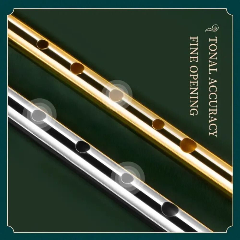 6 Holes C/D Key Irish Whistle  - Musical Instrument Easy To Learn review and price