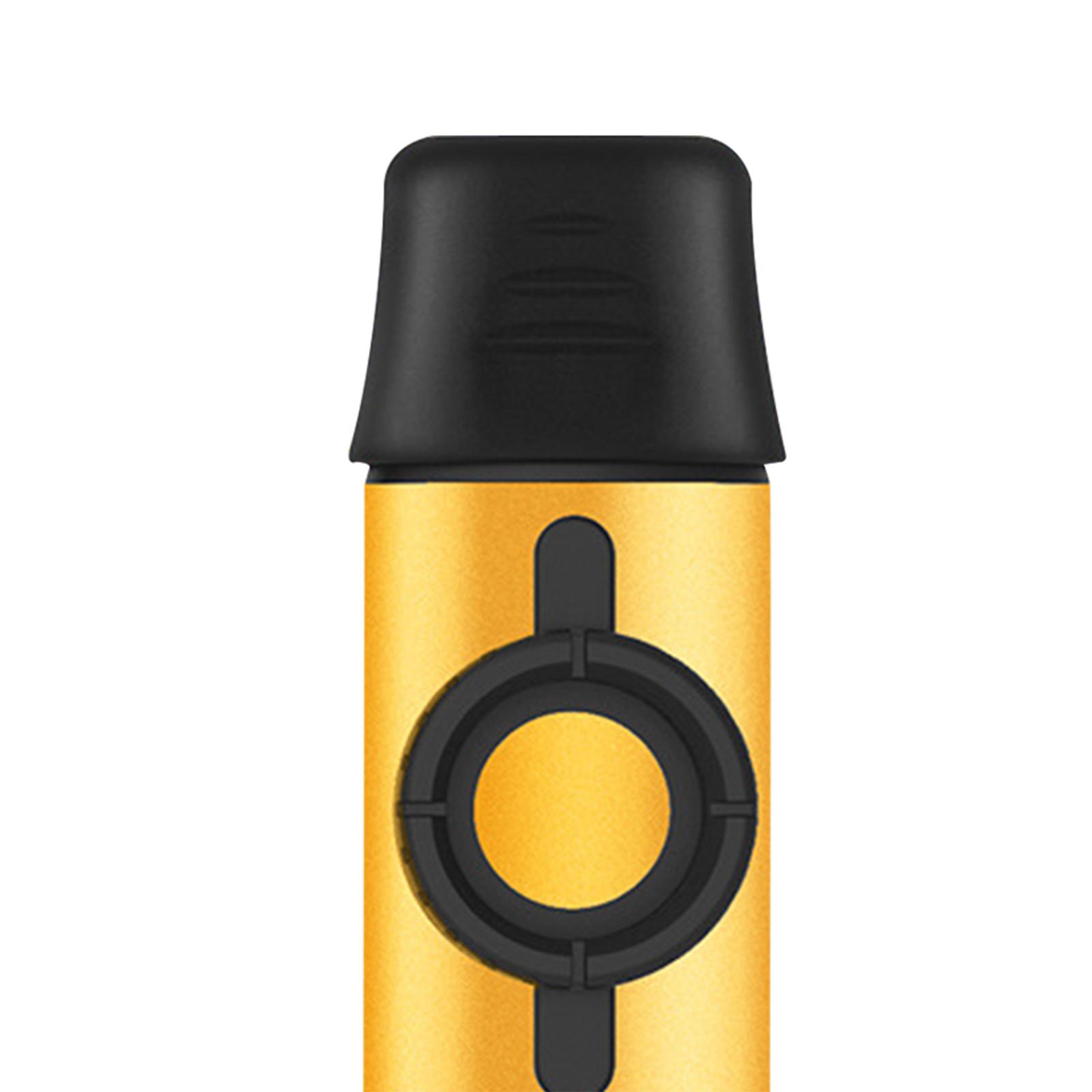 Metal Kazoo with 5 Extra Membr - Musical Instrument Easy To Learn review and price