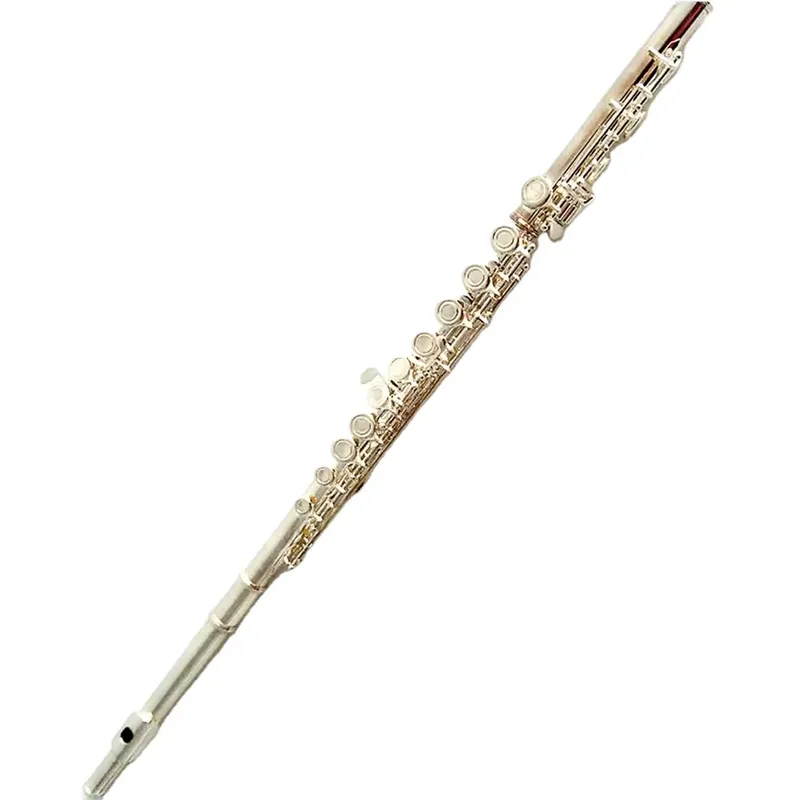 16 17 Hole Silver Plated Flute - Musical Instrument Band review and price