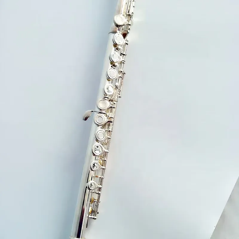 16 17 Hole Silver Plated Flute - Musical Instrument Band review and price