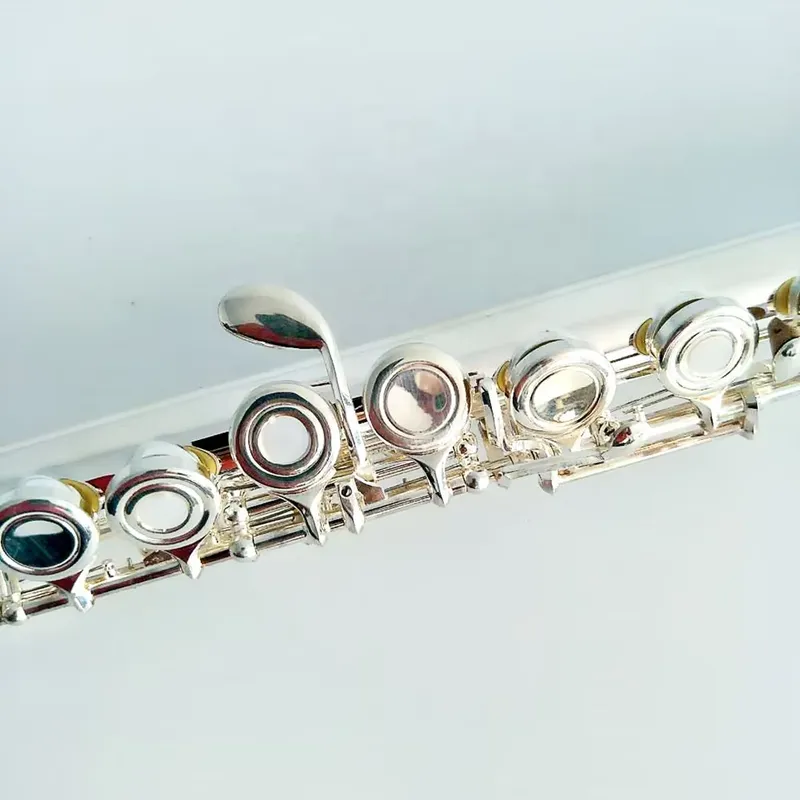 16 17 Hole Silver Plated Flute - Musical Instrument Band review and price