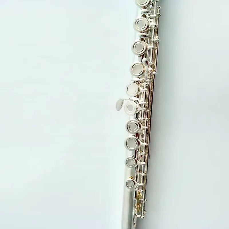 16 17 Hole Silver Plated Flute - Musical Instrument Band review and price